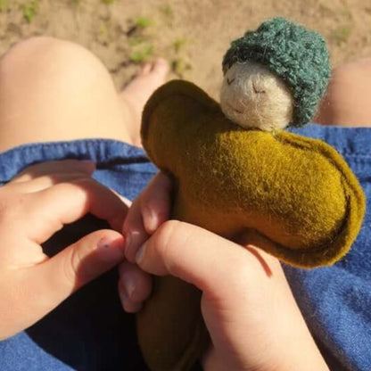 Little Pocket Friend